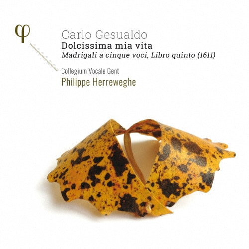 Philippe Herreweghe - Gesualdo: Dolcissima Mia Vita-madrigals Book, 5 - Import CD