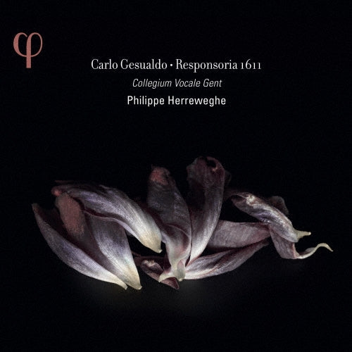 Philippe Herreweghe - Gesualdo: Jezuardo: Responsorium for Holy Week - Import 2 CD