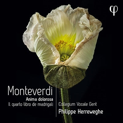 Philip Herreweghe, Collegium Vocale Gent - Monteverdi: Madrigale Collection Vol. 4 - Import CD