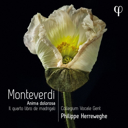 Philippe Herreweghe - Monteverdi: Madrigale Collection Vol. 4 - Import CD