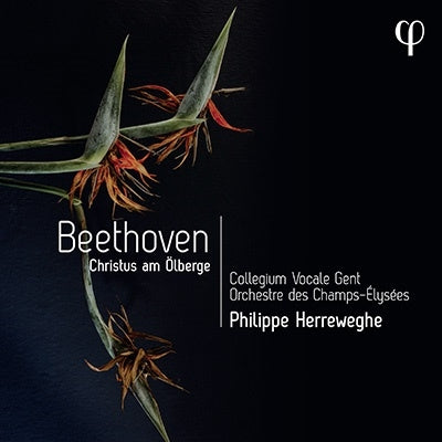 Philip Herreweghe, Champs-Élysées Orchestra, Collegium Vocale Gent - Beethoven: Christ Of Mount Olives - Import CD