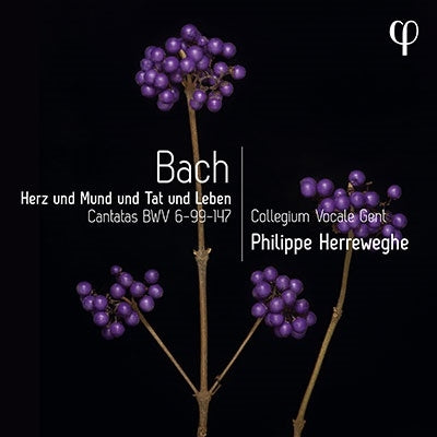 Bach (1685-1750) - Cantata, 6, 99, 147, : Herreweghe / Collegium Vocale Gent - Import CD