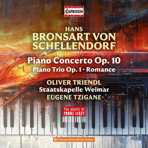 Oliver Triendl、Eugene Tzigane、Staatskapelle Weimar - Schellendorf:Piano Concerto / Piano Trio - Import CD