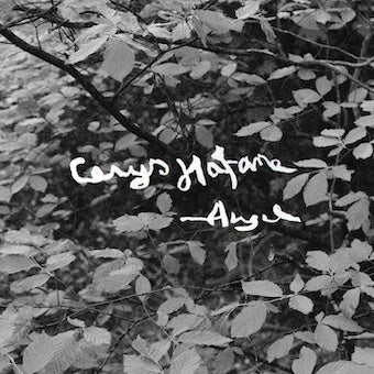 Cerys Hafana - Angel - Import LP Record