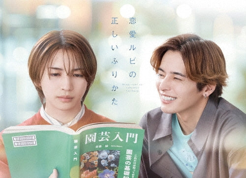 Movie - Renai Rubi No Tadashii Furi Kata DVD Box - Japan 2 DVD Box Set