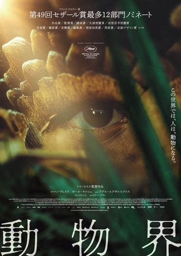 Movie - The Animal Kingdom - Japan DVD