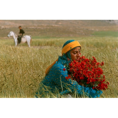Movie - Mohsen Makhmalbaf Blu-Ray Set - Japan 2 Blu-ray Disc