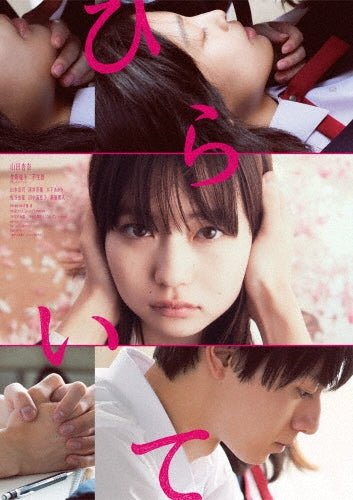 Japanese Movie-Hiraite-Japan 2 DVD
