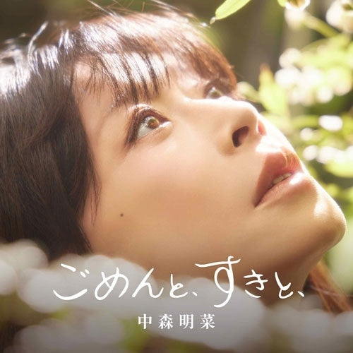 Akina Nakamori - Gomen To.Suki To. - Japan CD single Bonus Track