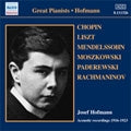Josef Hofmann - Josef Hofmann -Chopin, Liszt, Mendelssohn, Rachmaninov, etc (1916-23) - Import CD