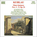 Eyvind Rafn - Kuhlau: Flute Quintets Op. 51 - Import CD