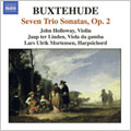 Lars Ulrik Mortensen, Jaap ter Linden, John Holloway - BUXTEHUDE:COMPLETE CHAMBER MUSIC VOL.2:7 SONATAS BUXWV.259-265:JOHN HOLLOWAY(vn)/JAAP TER LINDEN(gamb)/ETC - Import CD
