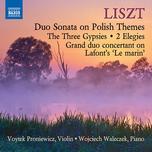 Liszt (1811-1886) - Works for Violin & Piano : Proniewicz(Vn)Waleczek(P) - Import CD
