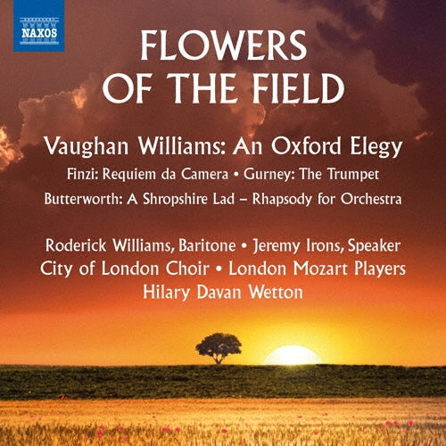 Hilary Davan Wetton - Flowers of the Field - Import CD