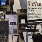 Poznan Piano Trio - Krzysztof Meyer: Instrumental Music - Import CD