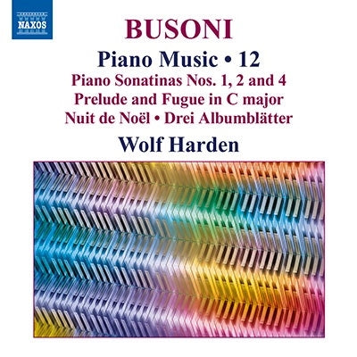 Busoni (1866-1924) - Busoni: Piano Works Vol.12 - Import CD
