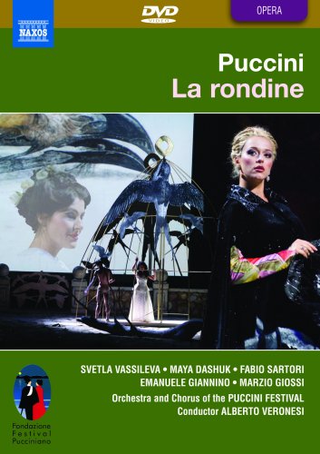 Puccini (1858-1924) - La Rondine: Amato Veronesi / Puccini Festival O Vassileva Dashuk - Import DVD