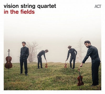 Vision String Quartet - In The Fields - Import CD