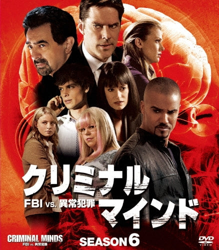 Movie-Alias Season 4 Compact Box-Japan 13 DVD Box Set