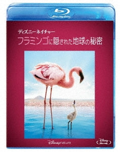 Disney - Disneynature: The Crimson Wing: Mystery Of Flamingos - Japan Blu-ray Disc