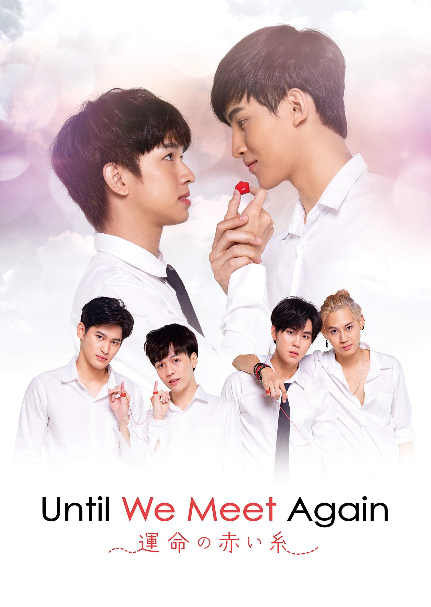 TV Series-Until We Meet Again -Japan 5 DVD Box Set