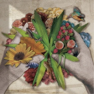 Jizue - biotop - Japan CD