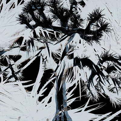 Plastic Tree - Plastic Tree - Japan CD