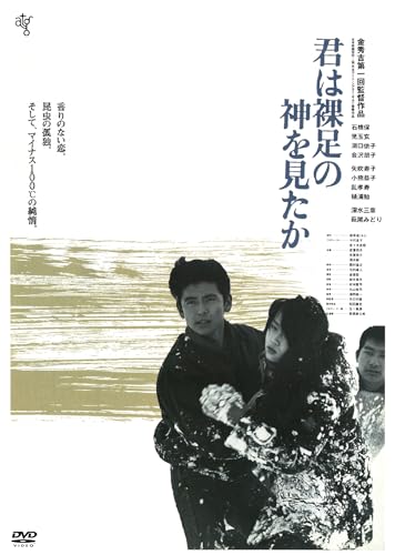 Japanese Movie - Kimi Ha Hadashi No Kami Wo Mita Ka - Japan DVD