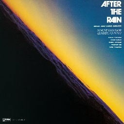 Mabumi Yamaguchi - AFTER THE RAIN - Japan Vinyl LP Recurd