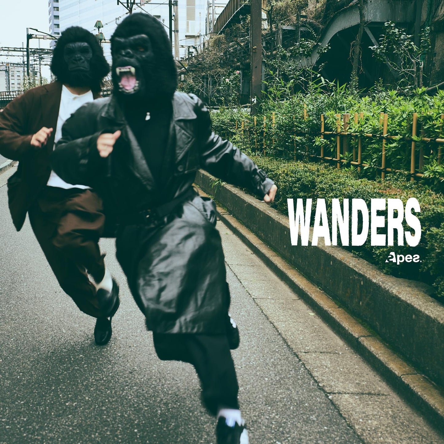 Apes - Wanders - Japan CD