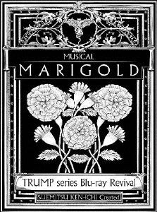 Theatrical Play - TRUMP series Blu-ray Revival Musical "Marigold" - Japan Blu-ray Disc