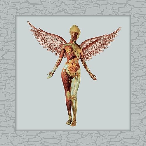 Nirvana - In Utero -30th Anniversary Super Deluxe Edtition (5 SHM-CD) - Import 7 SHM-CD Bonus Track Limited Edition