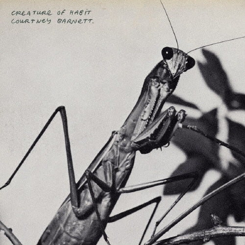 Courtney Barnett - Creature Of Habit - Japan SHM-CD