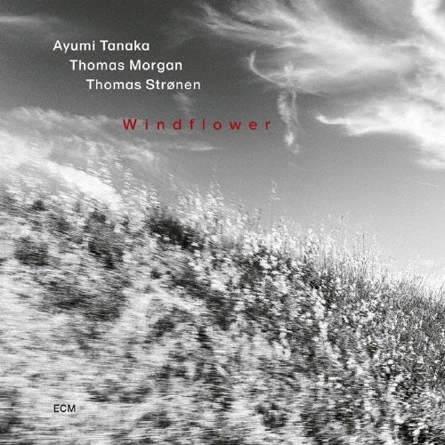 Ayumi Tanaka / Homas Morgan / Thomas Stronen - Windflower - Japan SHM-CD
