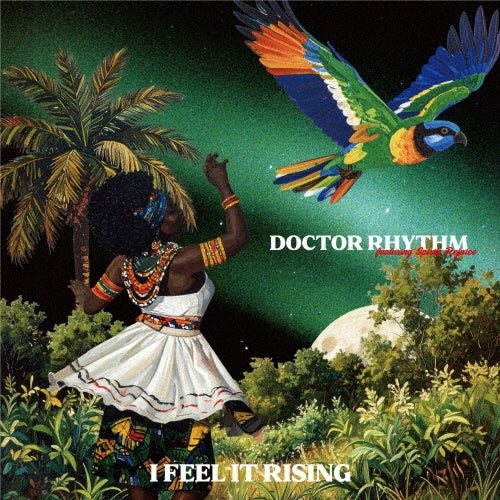 Doctor Rhythm - I Feel It Rising - Japan Vinyl LP Record