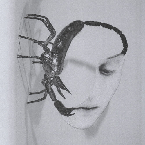 Tortoise - Touch - Japan CD Digipak