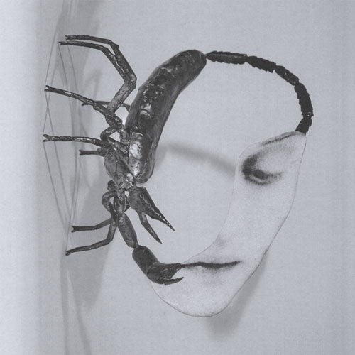 Tortoise - Touch CD & T-shirt set - Japan CD + T-shirt (M) Digipak Bonus Track Limited Edition