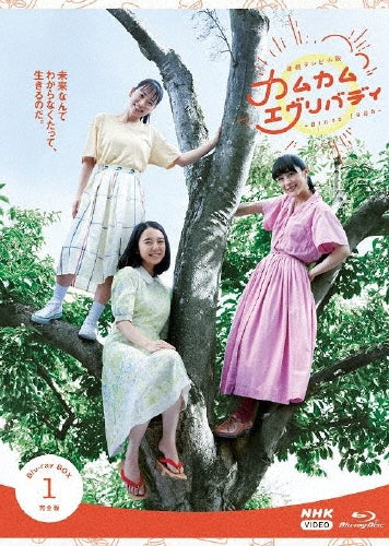 Japanese TV Series-Renzoku TV Shosetsu Come Come Everybody Complete Edition1-Japan 4 Blu-ray Disc Box Set