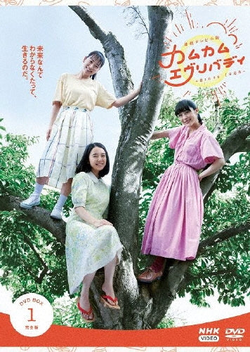 Japanese TV Series-Renzoku TV Shosetsu Come Come Everybody Complete Edition1-Japan 4 DVD Box Set