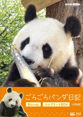Documentary - Gorogoro Panda Nikki Complete Blu-Ray Box - Japan 6 Blu-ray Disc Box Set