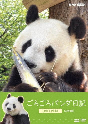 Documentary - Gorogoro Panda Nikki Dvd Box - Japan 4 DVD Box Set