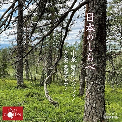 Koizumi Yayoi - Nihon No Shirabe - Japan CD