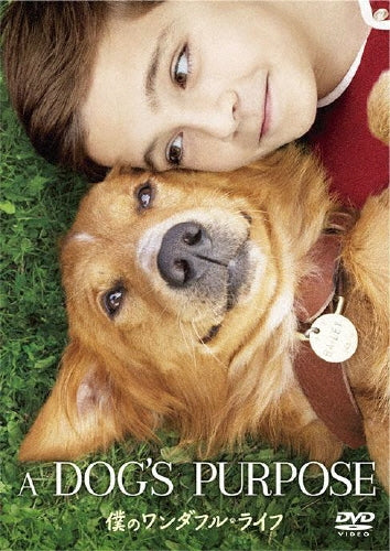 Movie-A Dog's Purpose-Japan DVD