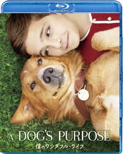Movie - A Dog's Purpose - Japan Blu-ray Disc