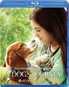 Movie - A Dog's Journey - Japan Blu-ray Disc