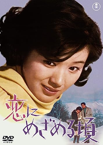 Japanese Movie - Koi ni Mezameru Koro - Japan DVD Disc