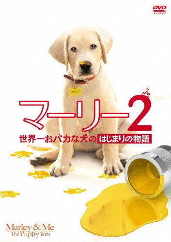 Movie-Maestro!-Japan DVD