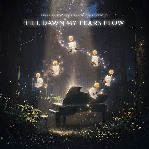 GAME MUSIC - FINAL FANTASY XIV Piano Collections - Till Dawn My Tears Flow - Japan CD