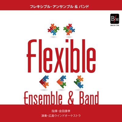 Kaneda Yasutaka - Flexible Ensemble & Band - Japan CD