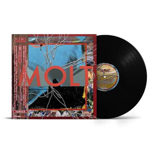 Molt - Molt - Japan LP Record